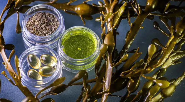 Seaweed with three small pots of pharmaceuticals
